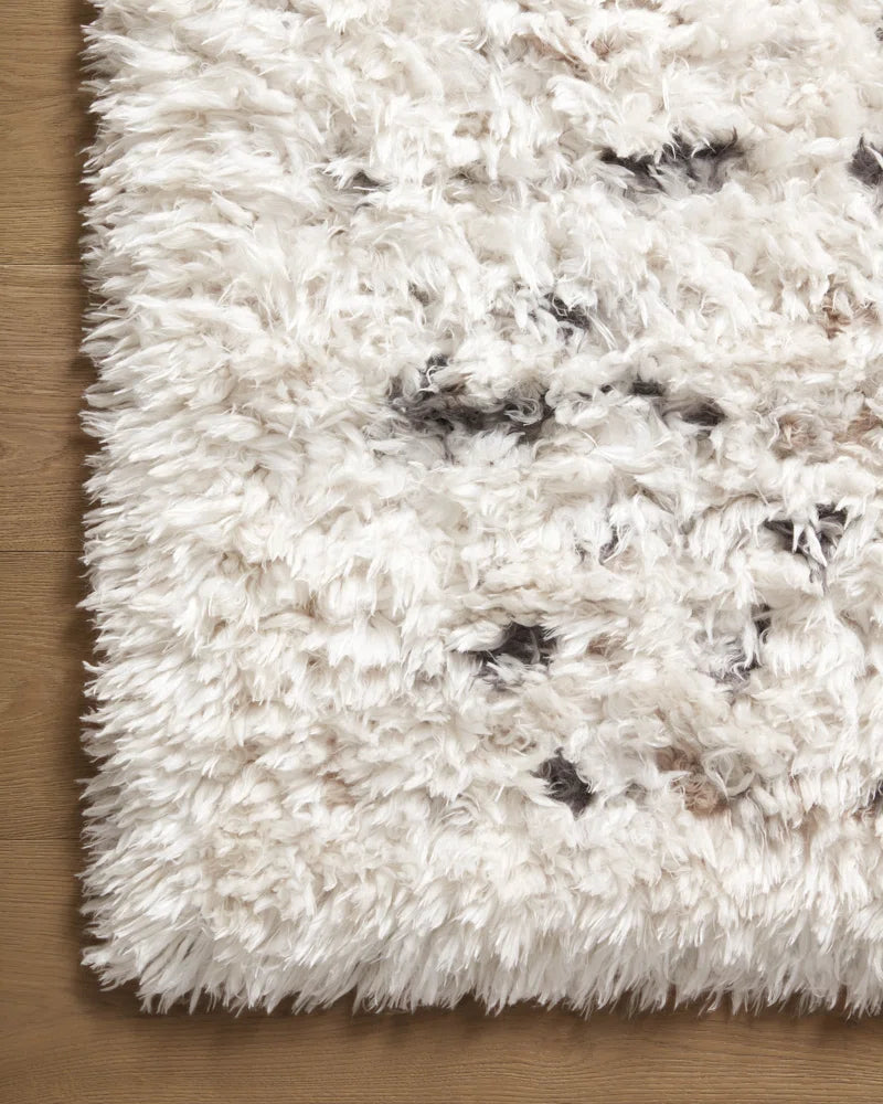 Amira Ivory / Multi Area Rug