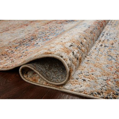 Charlotte Modern Distressed Area Rug