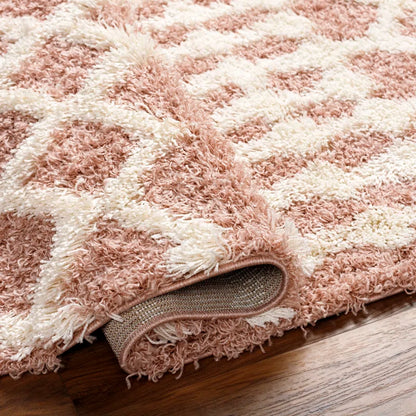 Hinsdale Machine Woven Polyester Area Rug in Pink