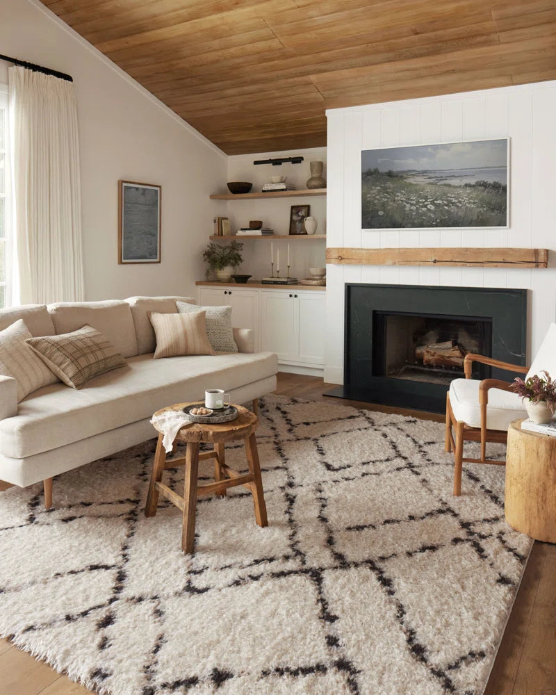 Amira Area Rug